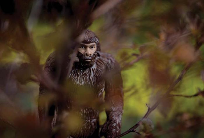 A Bigfoot toy in a mock forest setting.